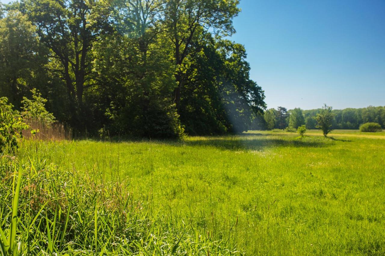 Palac Krobielowice Resort 3*